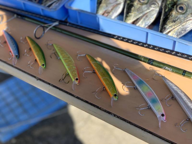 バス用タックルでねらえる美味ターゲット！ 東京湾のサワラゲーム